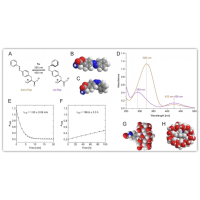 用于直接分离细胞外囊泡的介孔-大孔水凝胶