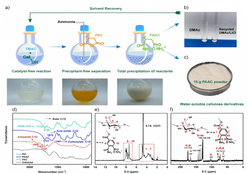 首创酐型纤维素衍生物，实现原位反应分离与溶剂回收